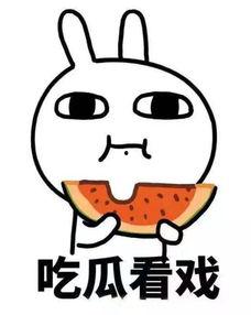 皮皮狗吃瓜,揭秘娱乐圈的幕后故事