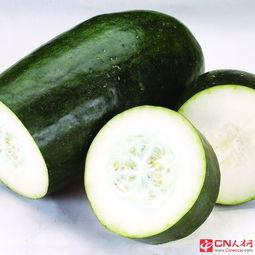 夏季头像女吃瓜,美女吃瓜，清凉一夏的时尚瞬间