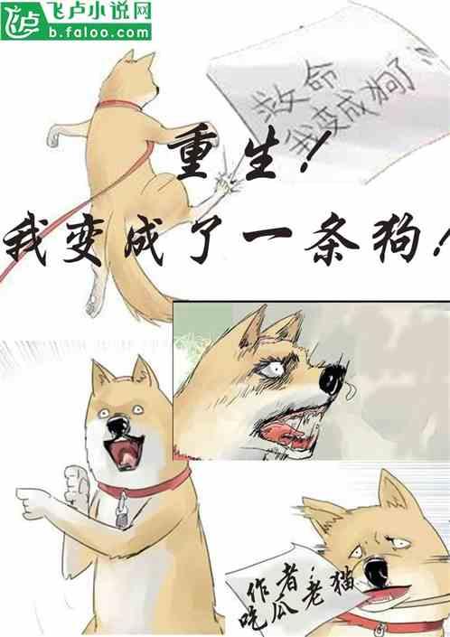 吃瓜乐安小说在线阅读,一场穿越时空的甜蜜冒险