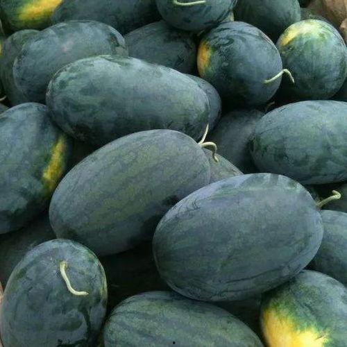 潘神夏日吃瓜手感,手感体验尽享清凉时光