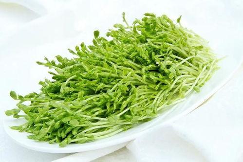 豆苗吃瓜,一场田园美食之旅