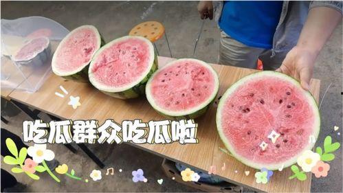 最近天天都在吃瓜,娱乐圈风云录