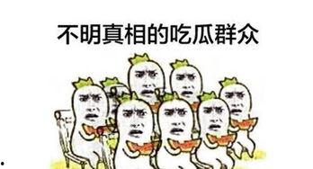 胖梦队友吃瓜,揭秘娱乐圈幕后故事
