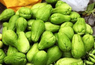 影响吃瓜的东西,揭秘影响吃瓜的五大关键因素