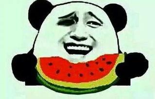 雪花飘飘 吃瓜,一场别开生面的吃瓜盛宴