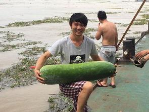 吃瓜船民,水上生活背后的故事与奇闻