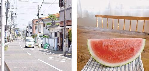 吃瓜群众滑铁卢,一场历史的瓜田盛宴