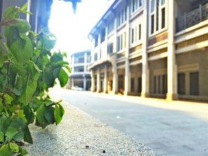 惠州水东街吃瓜,夏日吃瓜好去处，感受古街风情