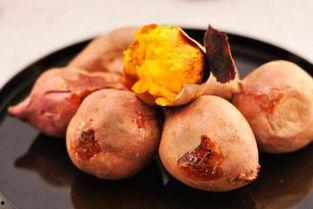 籽瓜地瓜肉怎么吃怎么吃,籽瓜地瓜肉的多彩食法探索