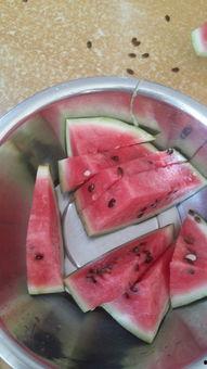 什么瓜吃不动,“吃不动”瓜果背后的营养秘密与挑选指南