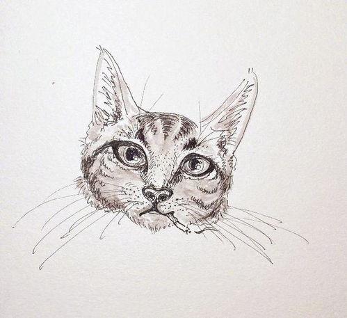 小羊吃瓜日记,趣味盎然的田园生活记录