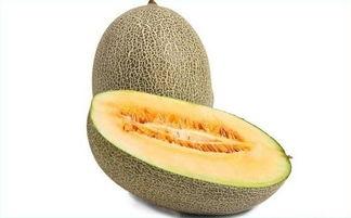 突然喜欢吃哈密瓜,揭秘突然爱上这甜蜜果实的奥秘