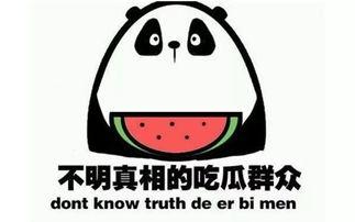 吃瓜群的人们,揭秘网络社交背后的趣味与争议