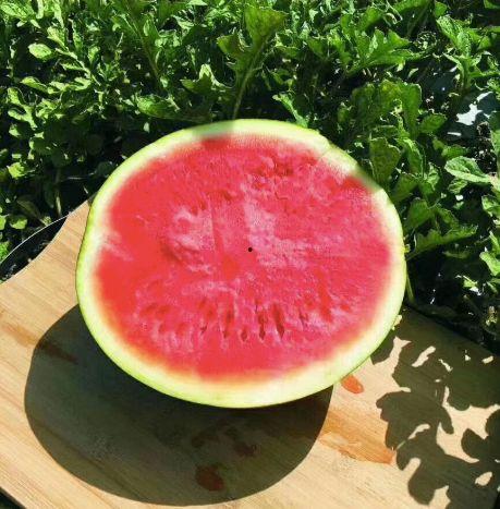 寻果吃瓜,揭秘水果背后的奇妙故事