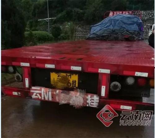 吃瓜的张某,吃瓜群众张某的趣味生活点滴