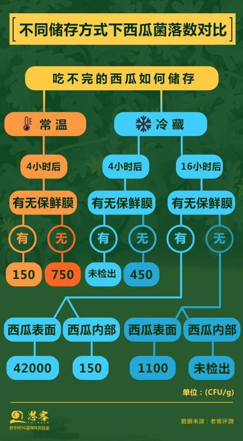 吃瓜访问安全,守护你的信息安全