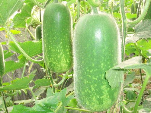 芾你吃瓜,揭秘娱乐圈那些不为人知的幕后故事