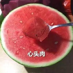 喜子吃瓜,揭秘瓜界风云人物