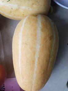 什么瓜不能炒菜吃,揭秘厨房里的禁忌食材