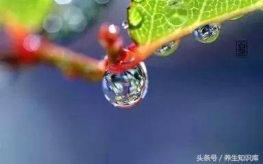 吃白露瓜好处