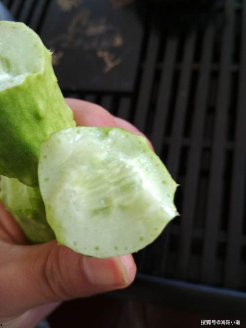 白玉瓜冻着吃