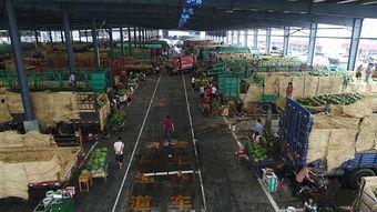 青岛楼市吃瓜群众,吃瓜群众视角下的风云变幻